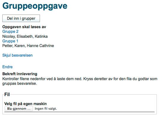 Illustrasjon av oversikt gruppeoppgave