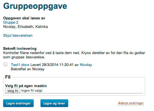 Illustrasjon av elevvisning av gruppeoppgave